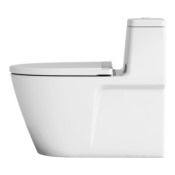 Acacia-Evolution-One-piece-Toilet-image2