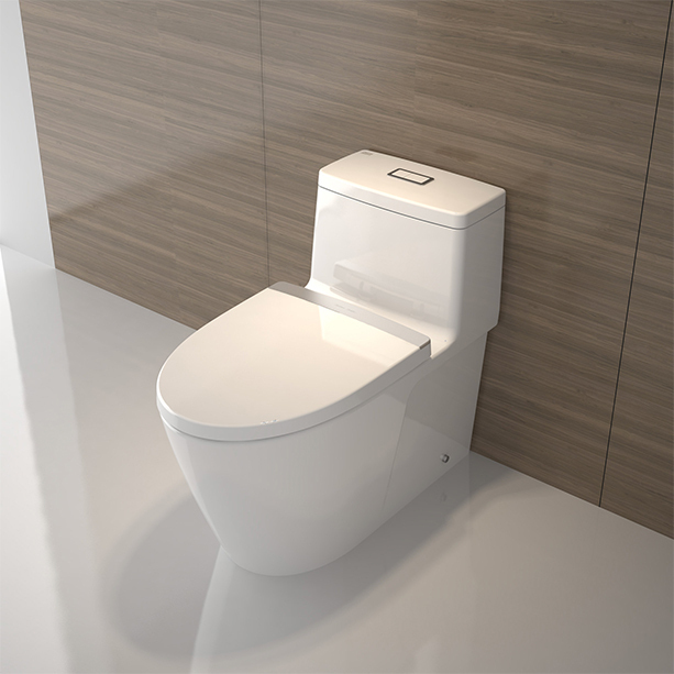 Acacia-Evolution-One-piece-Toilet-image3